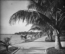 Palm Beach, c1894. Creator: William H. Jackson