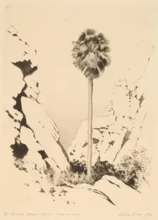 Palm Canyon (no.1), c. 1920. Creator: George Elbert Burr