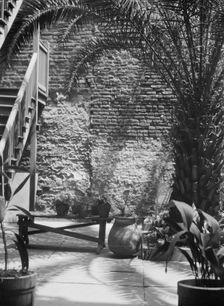 Palm courtyard, New Orleans, between 1920 and 1926. Creator: Arnold Genthe
