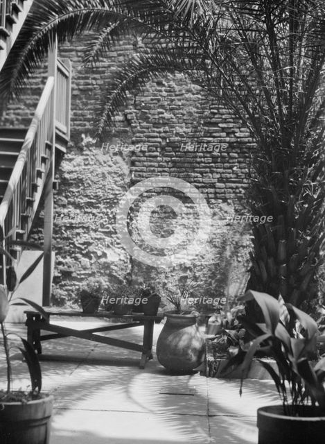 Palm courtyard, New Orleans, between 1920 and 1926. Creator: Arnold Genthe.