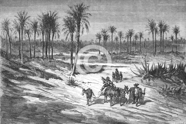 'Palm groves of Elche, near Alicante; Notes on Spain', 1875. Creator: Unknown.