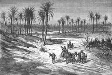 Palm groves of Elche, near Alicante; Notes on Spain 1875. Creator: Unknown