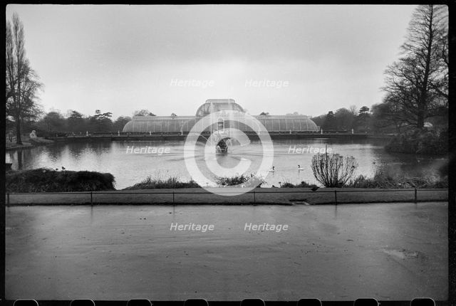 Palm House, Royal Botanic Gardens, Kew, Richmond upon Thames, London, c1955-c1980. Creator: Ursula Clark.