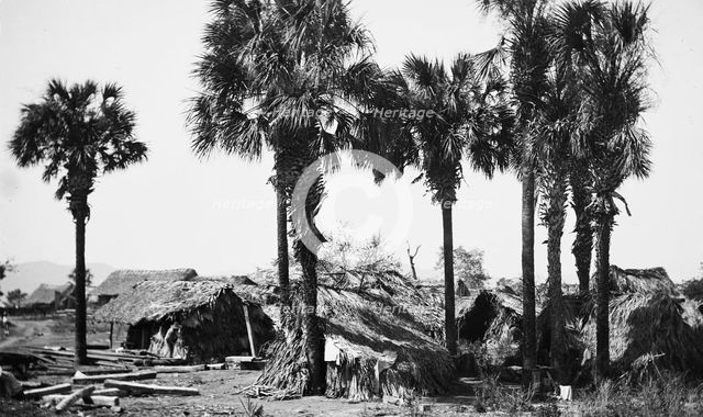 Palms and straw houses at Rascon, between 1880 and 1897. Creator: William H. Jackson.