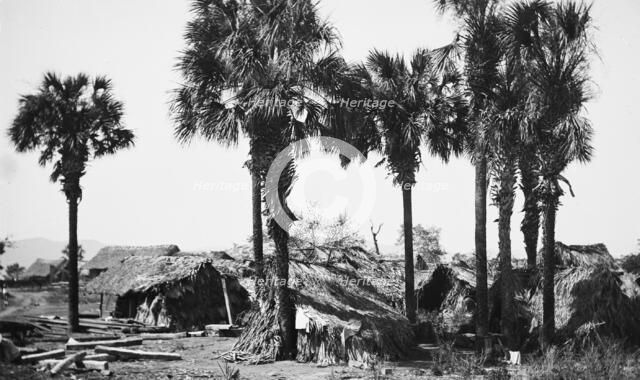 Palms and straw houses at Rascon, between 1880 and 1897. Creator: William H. Jackson.