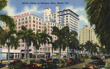Palms on Biscayne Boulevard, Miami, Florida, USA, 1949