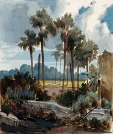 Palmyra palm trees (Borassus flabellifer) near Madras, India, 1854 to 1858. Creator: Hermann von Schlagintweit