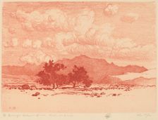 Palo Verde Trees, c. 1920. Creator: George Elbert Burr