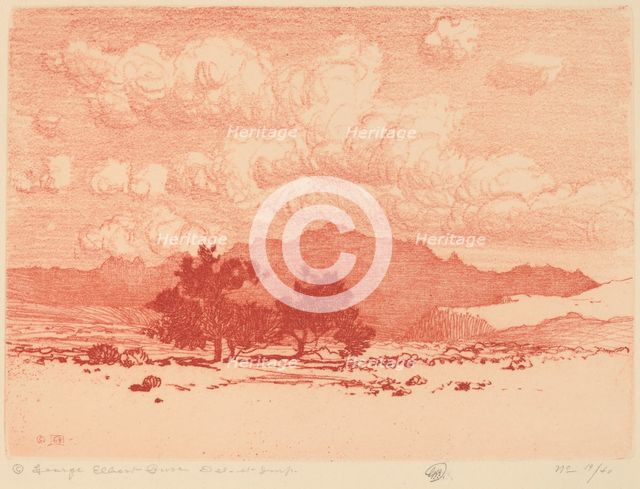 Palo Verde Trees, c. 1920. Creator: George Elbert Burr.