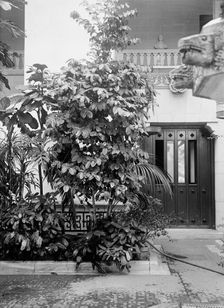 Pan American Union - Corner of Patio, 1916. Creator: Harris & Ewing