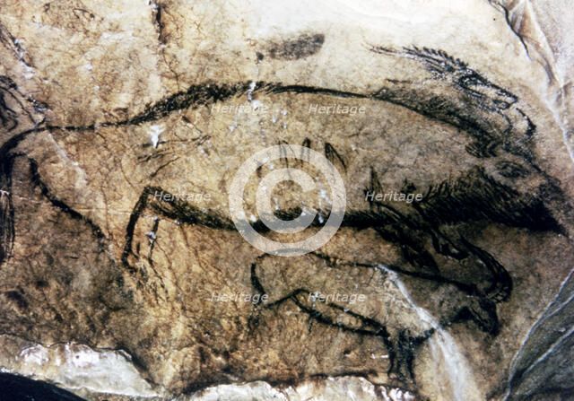 Panel 5, No. 94 Black Hall (Niaux cave): it has been interpreted as a dead female bison, by the o…