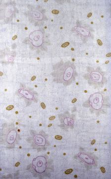 Panel (Dress or Furnishing Fabric), Vienna, 1903/05. Creator: Wiener Werkstätte