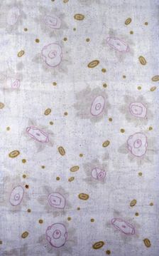 Panel (Dress or Furnishing Fabric), Vienna, 1903/05. Creator: Wiener Werkstätte