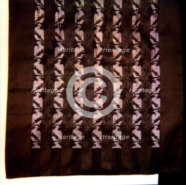 Panel from an Apron, Europe, 1850/1900. Creator: Unknown.