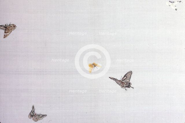 Panel (Intended for a Kimono), Japan, late Edo period (1789-1868)/ Meiji period, 19th century. Creator: Unknown.