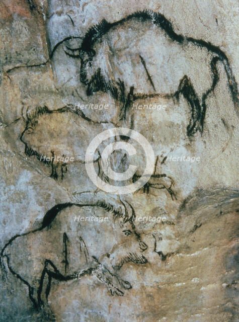 Panel with several overlapping bisons and a small goat, this one and several bisons are wounded b…