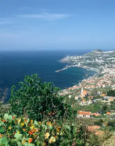 Panorama, Funchal, Madeira, Portugal. Creator: Peter Thompson