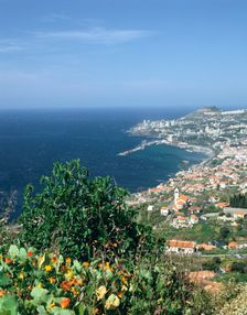 Panorama, Funchal, Madeira, Portugal. Creator: Peter Thompson