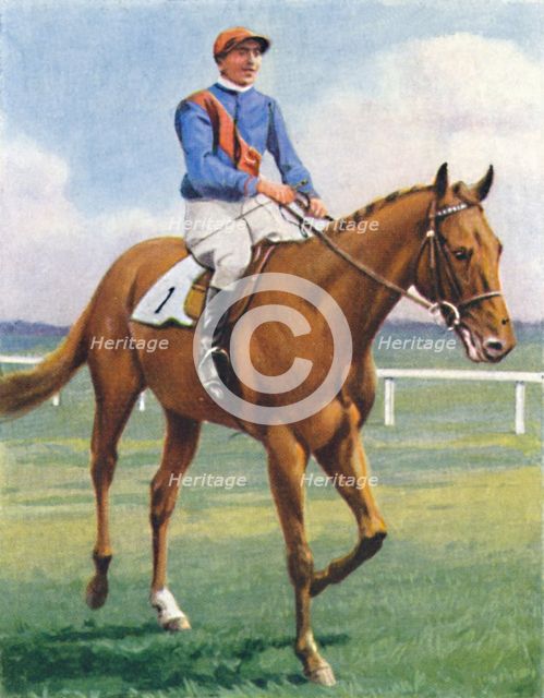 Panorama, Jockey: P. Beasley', 1939. Artist: Unknown.