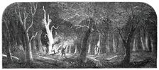 Panorama of the Ohio - Clearing a Forest, 1850. Creator: Unknown