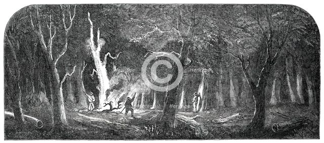 Panorama of the Ohio - Clearing a Forest, 1850. Creator: Unknown.