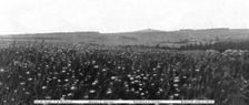 Panoramas du champ de bataille, a l'ouest de la Meuse; Les arbres, sur la crete..., 1916. Creator: Unknown
