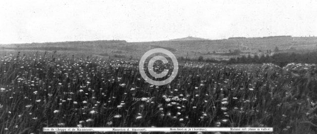 'Panoramas du champ de bataille, a l'ouest de la Meuse; Les arbres, sur la crete..., 1916. Creator: Unknown.