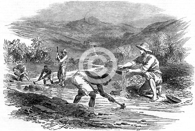 Panning for gold during the Californian Gold Rush of 1849. Artist: Unknown