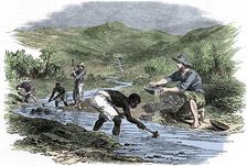 Panning for gold during the Californian Gold Rush of 1849
