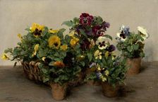 Pansies, 1874. Creator: Henri Fantin-Latour
