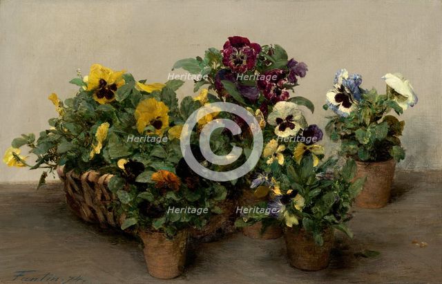 Pansies, 1874. Creator: Henri Fantin-Latour.