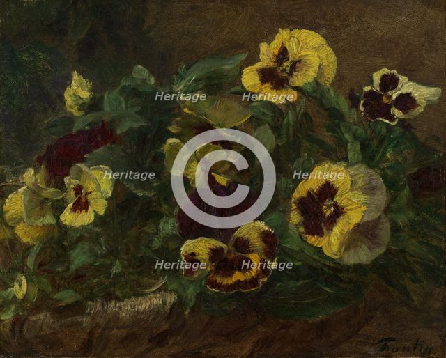 Pansies, 1903. Creator: Henri Fantin-Latour.