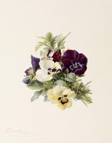 Pansies, c1865. Creator: Gerardina Jacoba van de Sande Bakhuyzen