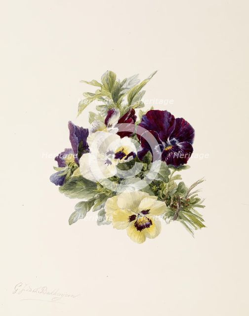 Pansies, c1865. Creator: Gerardina Jacoba van de Sande Bakhuyzen.