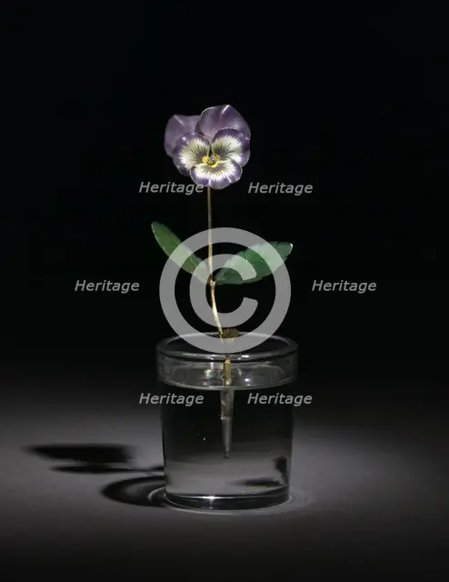 Pansy, before 1919. Creator: Unknown.