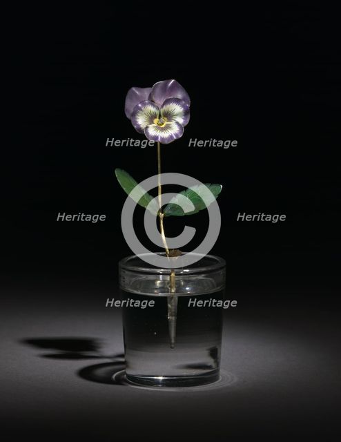 Pansy, before 1919. Creator: Unknown.