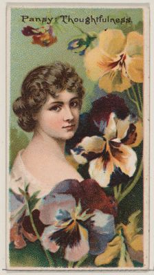 Pansy: Thoughtfulness, from the series Floral Beauties and Language of Flowers (N75) for D..., 1892. Creator: Donaldson Brothers