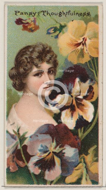 Pansy: Thoughtfulness, from the series Floral Beauties and Language of Flowers (N75) for D..., 1892. Creator: Donaldson Brothers.
