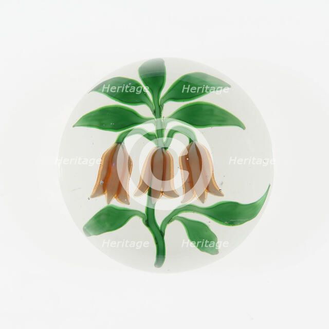 Paperweight, Baccarat, 19th century. Creator: Baccarat Glasshouse.