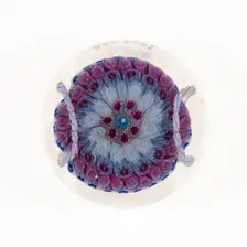 Paperweight, Birmingham, c. 1848-55. Creator: George Bacchus & Sons