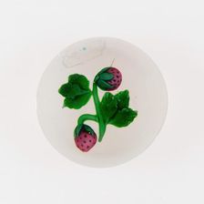 Paperweight, France, 19th century. Creator: Baccarat Glasshouse