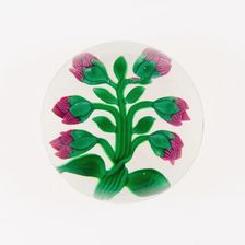 Paperweight, France, 19th century. Creator: Baccarat Glasshouse