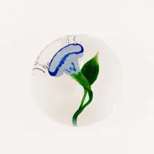 Paperweight, France, c. 1845/60. Creator: Clichy Glassworks