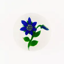 Paperweight, France, c. 1845/60. Creator: Clichy Glassworks