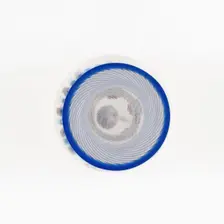 Paperweight, France, c. 1845-60. Creator: Saint-Louis Glassworks