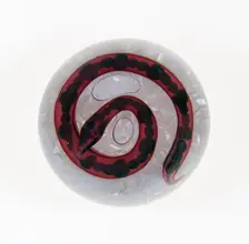 Paperweight, France, c. 1845-60. Creator: Saint-Louis Glassworks
