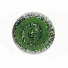 Paperweight, Lunéville, c. 1848/55. Creator: Baccarat Glasshouse