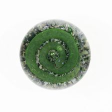 Paperweight, Lunéville, c. 1848/55. Creator: Baccarat Glasshouse