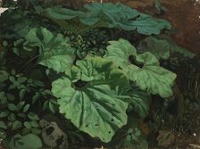 Papers, exercise, 1835-1853. Creator: Nils Jakob Blommer