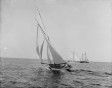 Papoose, June 17, 1887, 1887 June 17. Creator: Unknown